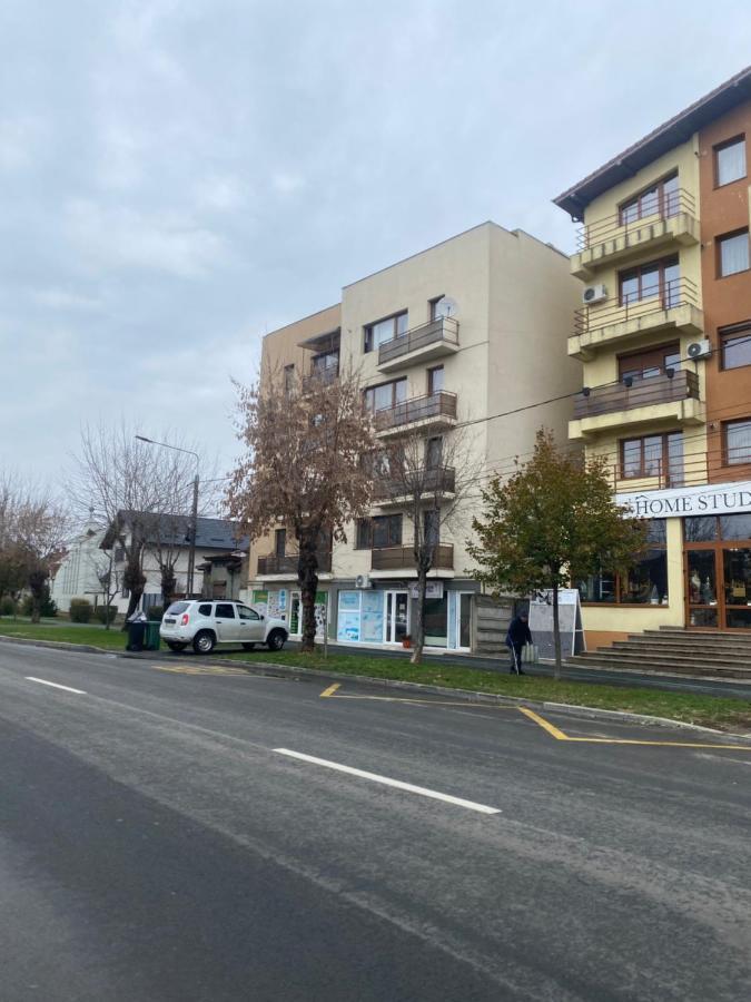 2Br Cosy Apart Satu Mare Exterior photo
